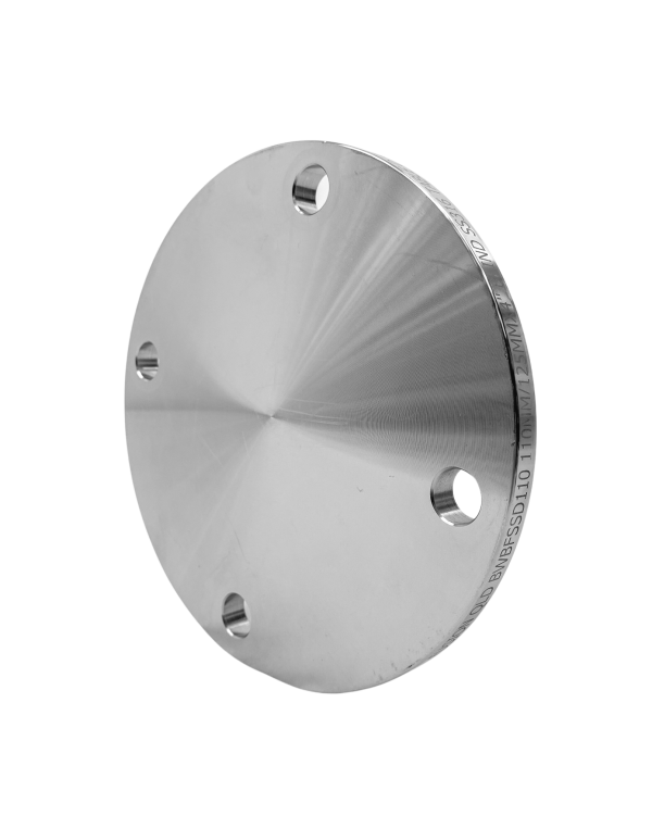 Stainless Steel Blind Flange | Table E